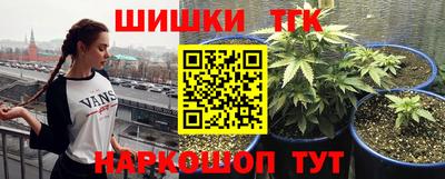 скорость Гусь-Хрустальный