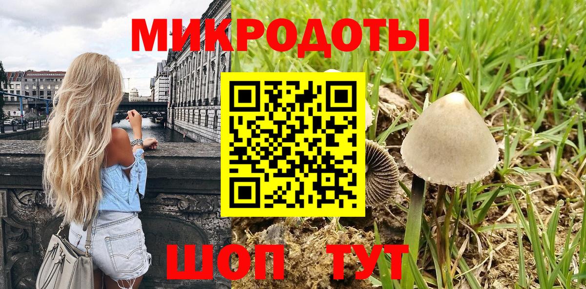 Галлюциногенные грибы мухоморы Россия